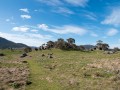 1201-1707 Namadgi (1060151)